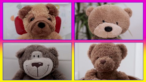video of teddy bear soft toys in online virtual remote meeting, could be business or casual friends chat.