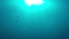 Underwater video of sunburst in ocean