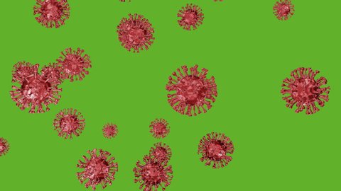 Flying or motion of Corona virus, flu virus on green screen for background. Coronavirus COVID-19 on microscope under health, infect, Medical concept. virus Bacteria cells on 4k VDO, 3D Animation