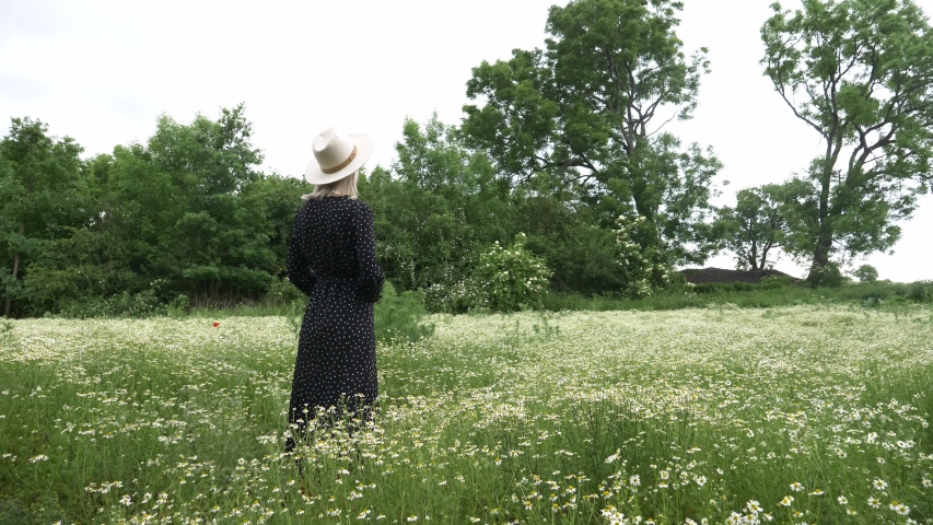 Blonde girl in dark dress in a  chamomiles flowers meadow 