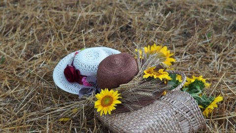 Still life of hats and baskets with sunflowers on a mowed field