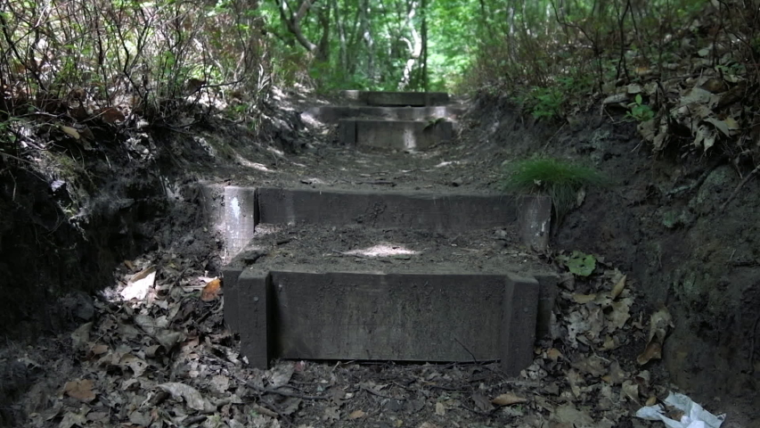 Super slow motion of dirt footpath and wooden steps through a trek trail in an English Forest, Summer 2020