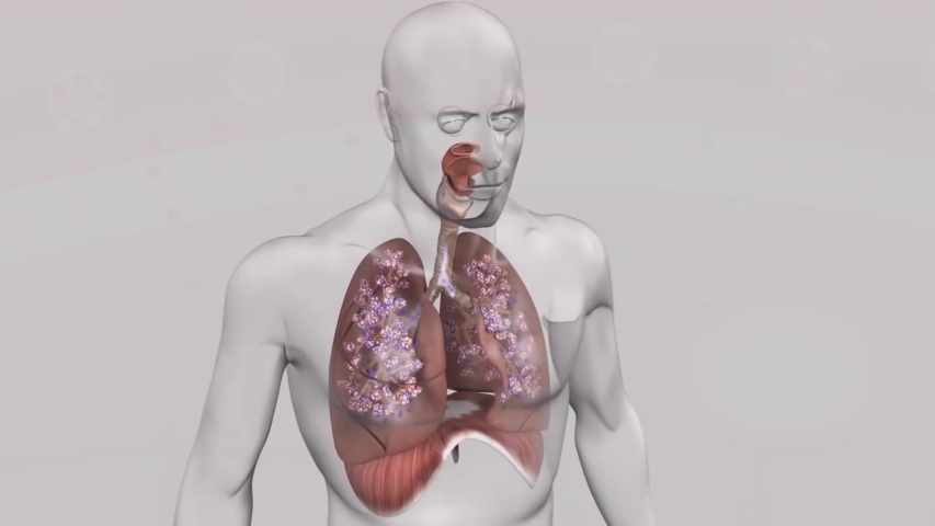 Lung oxygen and carbon dioxide release | Shutterstock HD Video #1054091627