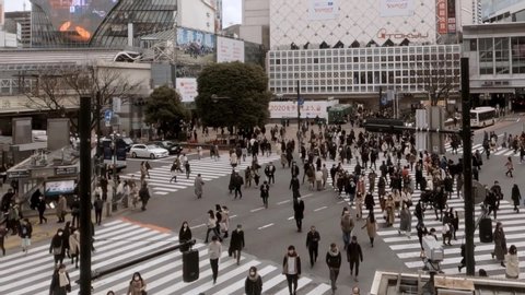 Tokyo, Japan-04 February, 2020: Timelapse elevated view of crowd pedestrian crossing in Shibuya intersection. Aerial of asian people in busy scramble crosswalk. Asia downtown. Metropolitan City-Dan