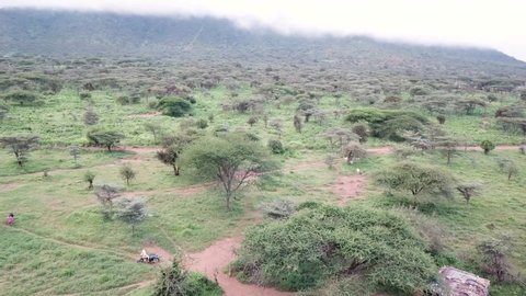 Tarangire National Park \ Tanzania         footage of wildlife from Tarangire National Park  , taken by handheld camera