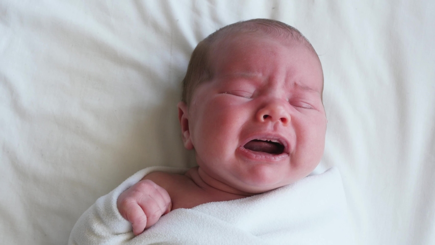 Little baby toddler newborn crying cry scream cries loudly | Shutterstock HD Video #1054107788
