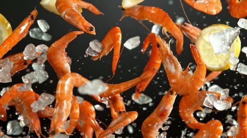 Super Slow Motion Shot of Flying Fresh Prawns with Crushed Ice and lemon Slices at 1000 fps.