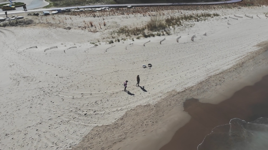 Aerial view people walking dogs on the shores of Lake Michigan in Illinois. People walking dogs on a sandy beach.