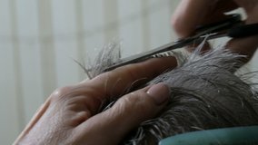 Haircut of a homeless elderly man. Women's hands are cut white hair man with a comb and scissors in a homeless shelter, close up view. - Powered by Shutterstock - Get 15% off with code: PIKWIZARD15