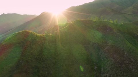 Flying up over green mountain ridge with panoramic aerial view at sunset. Summer nature background with warm sunlight in Altai Republic, Siberia, Russia