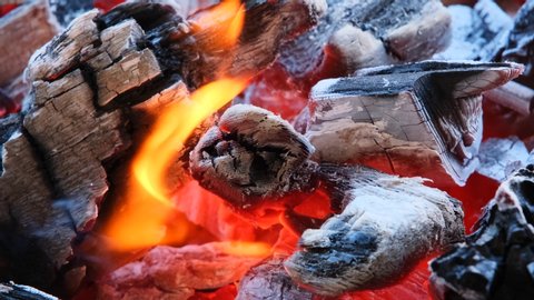 burning fire, firewood coal closeup in the fireplace, 4k