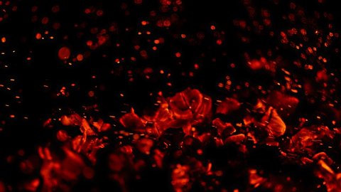 Super Slow Motion Shot of Glowing Coal and Fire Sparks Isolated on Black Background at 1000fps.