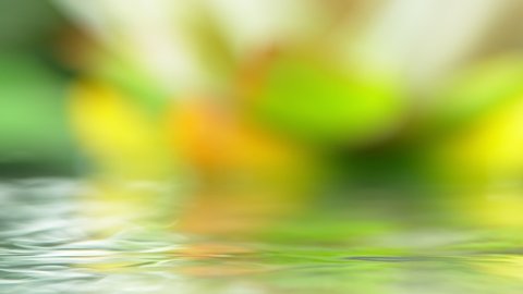 Super Slow Motion Shot of Colorful Floral Background with Flowing Water Surface at 1000 fps.