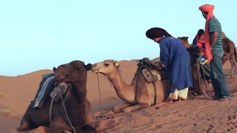 Ouarzazate / Morocco - 08 17 2015: Adult male Berbers wearing turbans prepare camels to ride in Moroccan desert, Ouarzazate, Morocco