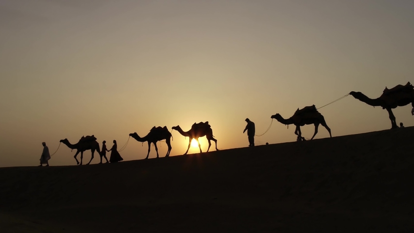 Camel caravan travel in rajasthan desert people picnic and walking with camel kutch white desert indian touisum | Shutterstock HD Video #1054210415