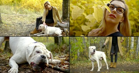 joyful woman and white dog on walk in autumn forest, collage, yellowed foliage and beautiful nature