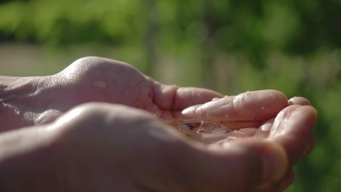 clean water in human hands. drop of pure water falling into male hands. water drops, water resources, earth, environment. conservation of natural resources.