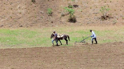June 5, 2020 San Jose De Ocoa, Dominican Republic. dramatic image of two men plowing a field with a horse and old plow.