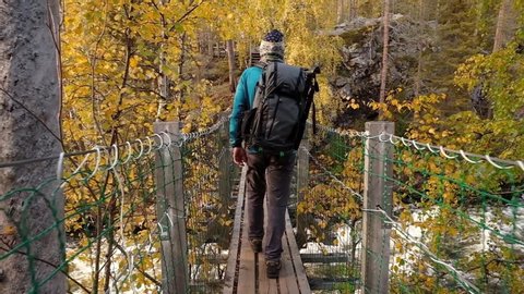 Unidentified man walks on the suspension bridge in Oulanka National Park at autumn in Finland. Hiker with backpack crossing the suspension bridge over the rapid river in Finnish national park