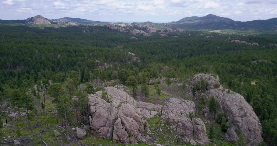Custer State Park South Dakota Experience The Magic Of The Black Hills - za4f32q