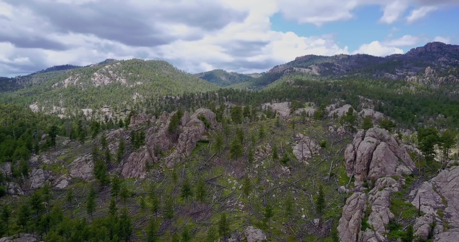 Custer State Park South Dakota Experience The Magic Of The Black Hills - 4q8mnxz
