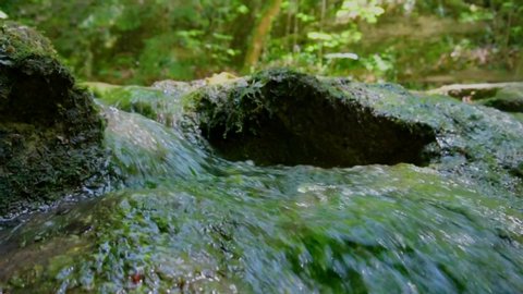 Slow forward close up shot of flowing fresh water stream with green alga in slow motion