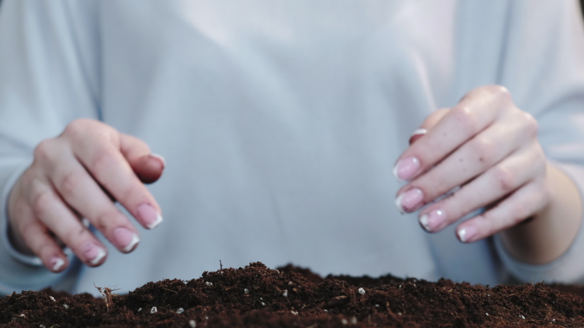 Fertile soil. Sustainable Earth. Female hands showing organic compost on defocused background.