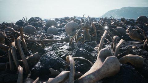 Human bones and skulls scattered on the field of the past battle. The concept of war and the Apocalypse.