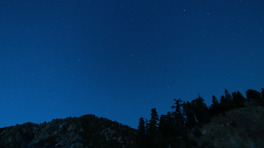 Startrails Around North Star Polaris Over Alpine Mountain Forest Time Lapse