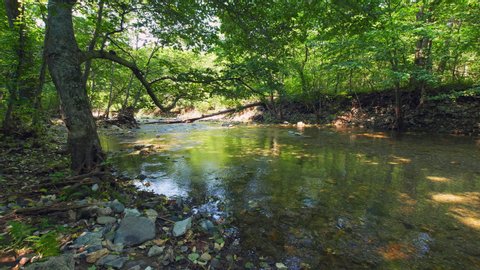 Graded shot of the peaceful river in a forest, taken with a super wide angle lens in UHD