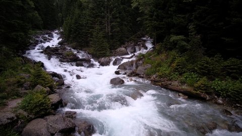 Beautiful rough mountain river Baduk in the forest, Dombai reserve, North Caucasus, Russia. Forest river flow.