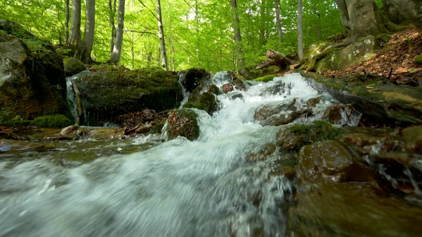 Stream running fast in summer green forest. Small waterfall with crystal clear water. Stones and logs covered with moss. Steadicam slow motion shot