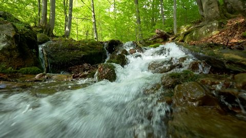 Stream running fast in summer green forest. Small waterfall with crystal clear water. Stones and logs covered with moss. Steadicam slow motion shot