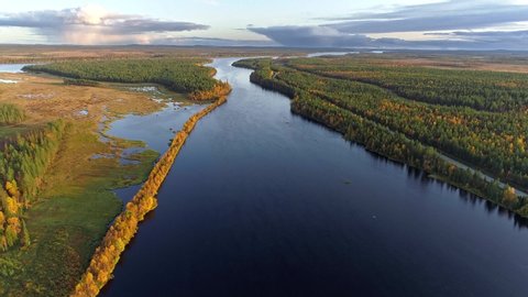 Beautiful autumn Finland nature landscape. Flying above river, swamps, mixed forest, green spruces and yellow regular trees. Aerial shot, 4K