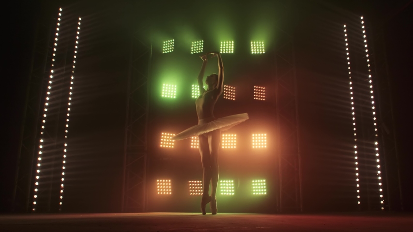 Silhouette Ballet Dancer Performing Swan Lake on the stage of the theater. Beauty Concept Slow Motion.