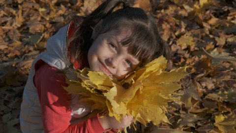 Portrait of a child with autumn leaves. Flavor of golden leaves. Lovely child hold a bouquet of golden leaves in the autumn meadow.