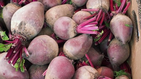 Freshly harvested red beets on display at the farmer's market