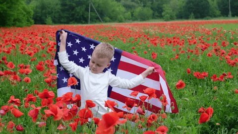 boy swinging with american flag in poppy field.Concept of Memorial day or Veteran's day in America.