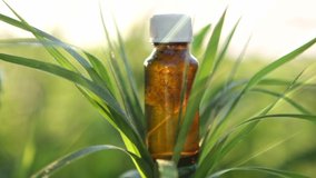 Essential oil in a brown bottle - video concept. Natural herb extract in the glass bottle.