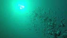 Underwater video of bubbles rising to sea surface