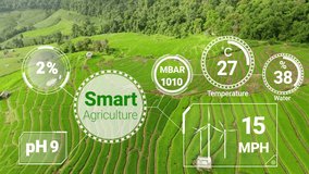 Smart digital agriculture technology by futuristic sensor data collection management by artificial intelligence to control quality of crop growth and harvest. Computer aided plantation grow concept. - Powered by Shutterstock - Get 15% off with code: PIKWIZARD15