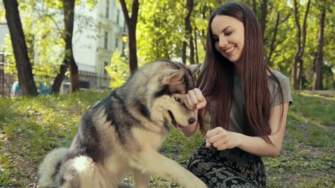 An Attractive Young Blonde Woman Teasing With Purebred Siberian Husky Dog, Guess Which Hand. In Park, A Bright Sunny Day. The Concept Of Friendship, Care, Human And Animal Help