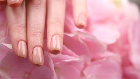 Manicure, Beautiful Woman's hands, Spa and Manicure concept. Female hands with beautiful natural pink french elegant manicure. Soft skin, skincare concept. Beauty nails. Salon. Slow motion 4K video