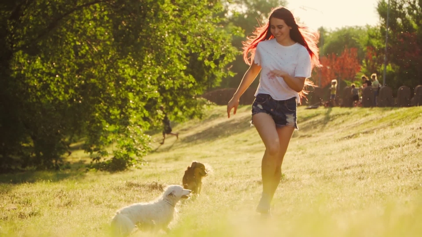 Happy Woman Playing With Two Dog In The Park. Beautiful Girl Runs with a Puppy during Sunset in on lawn in the Park. Love for pets. Slow motion. | Shutterstock HD Video #1054343234