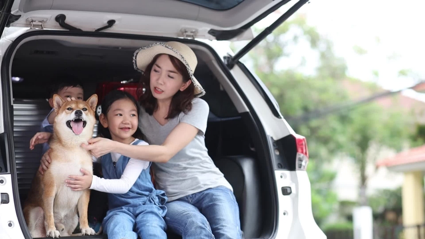 Pet Lover. An Asian family with a mother, daughter and son watching the seaside views on a van. Happy asian family with shiba inu dog in car. | Shutterstock HD Video #1054345505