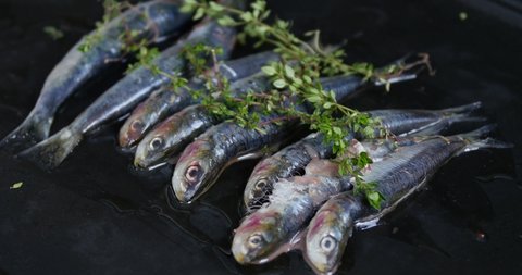 Tray of sardines (Sardina pilchardus) roasted with charcoal on the barbecue. Freshly grilled sardines on a white plate Typical Mediterranean cuisine. Mediterranean gastronomy sardinhas Espetos