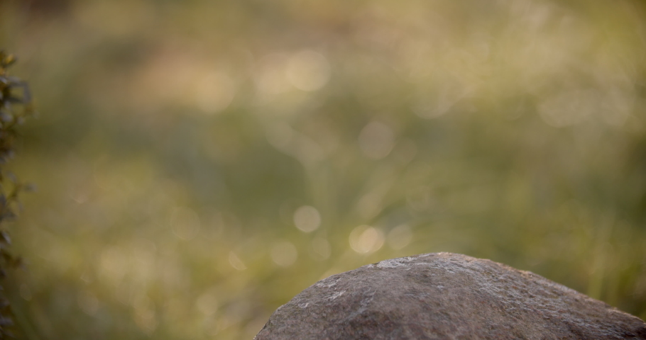 Putting a steaming cup with hot drink on the rock. White cup symbolizes purity, refreshment, start of the day. Self-isolation in countryside with new daily routines, connection with nature.