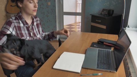 European female student study from home office and pets interruption while working at home. Dog bothers her. Working and studying from home problem concept