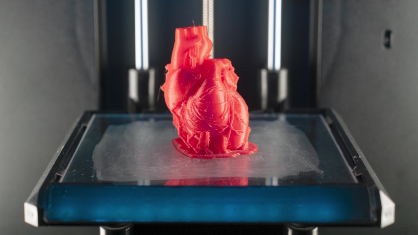3d printer prints the model of heart, process of printing organs on a 3d printer, creating a model of the human heart, accelerated video.