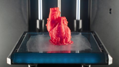 3d printer prints the model of heart, process of printing organs on a 3d printer, creating a model of the human heart, accelerated video.